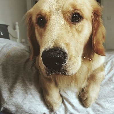 uranussky.stark🌘 (💙,🧡)(🌸, 🌿)(⚖️,🌍)