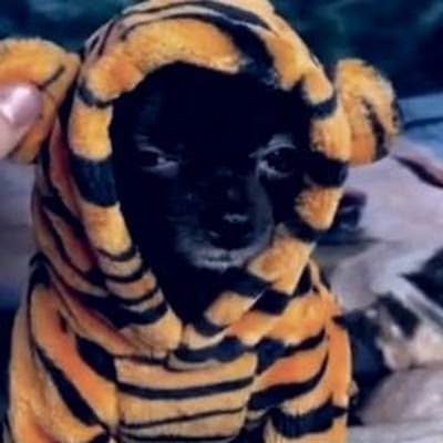 Angelique Armstrong-Durocher