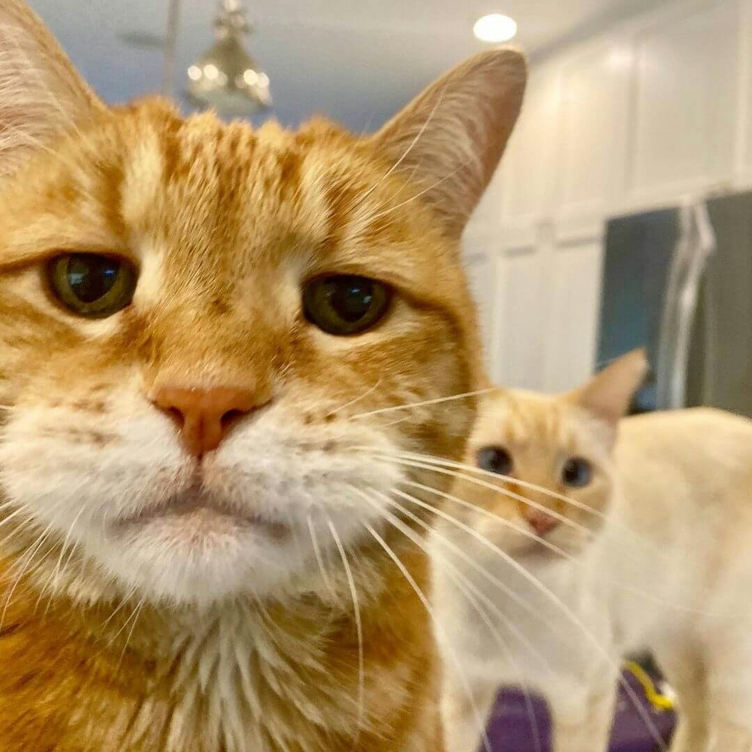 Nguyễn Thành Trung