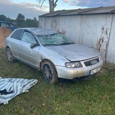 Kristaps Stapulionis