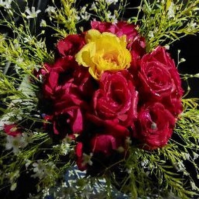 Moumita Bhattacharjee