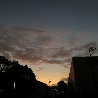 yyone.bnb | (.lens)(🌸, 🌿)