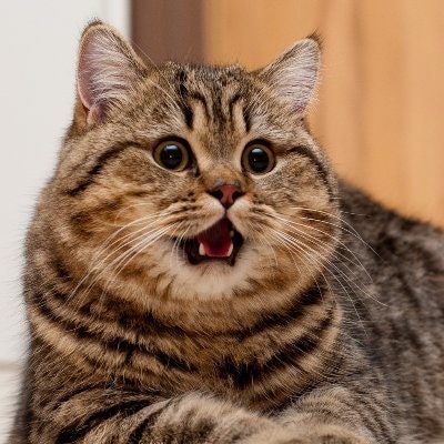 (💙,🧡) Sergey 🛸