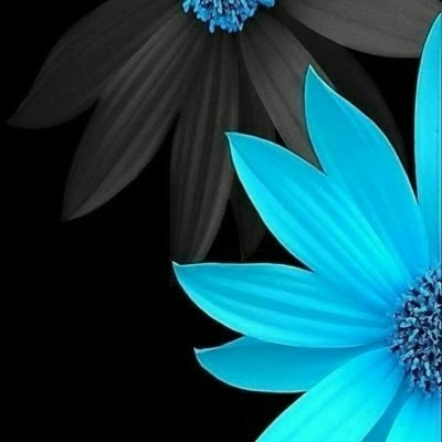 JavRAz.eth (💙,🧡) (🛸) (⚙️) JavRAz.lens