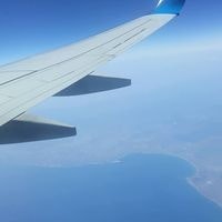 შორენა ჩაფურიშვილი