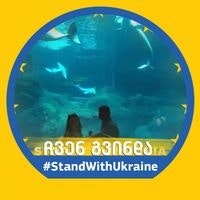 მაიკო მ. მაიკო