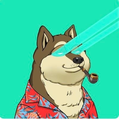 yyaixy.lens 158168.bnb🌘(🌸, 🌿)🌎