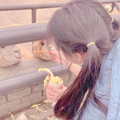 ⩩☁️› ᴀʀ || freetag