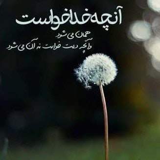 behran.bnb.lens.L2.bit(💙,🧡)🏰🛸🐦🔮 (🌸, 🌿)🌘