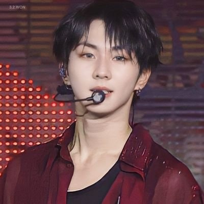 ann || freetag✨🍀