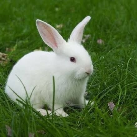 Crypto Nft ❤‍🔥