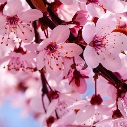 ⓑⓘⓖⓦⓘⓝ✧٩(の❛ᴗ❛ の)۶freetag(◍ ˃̵͈̑ᴗ˂̵͈̑)