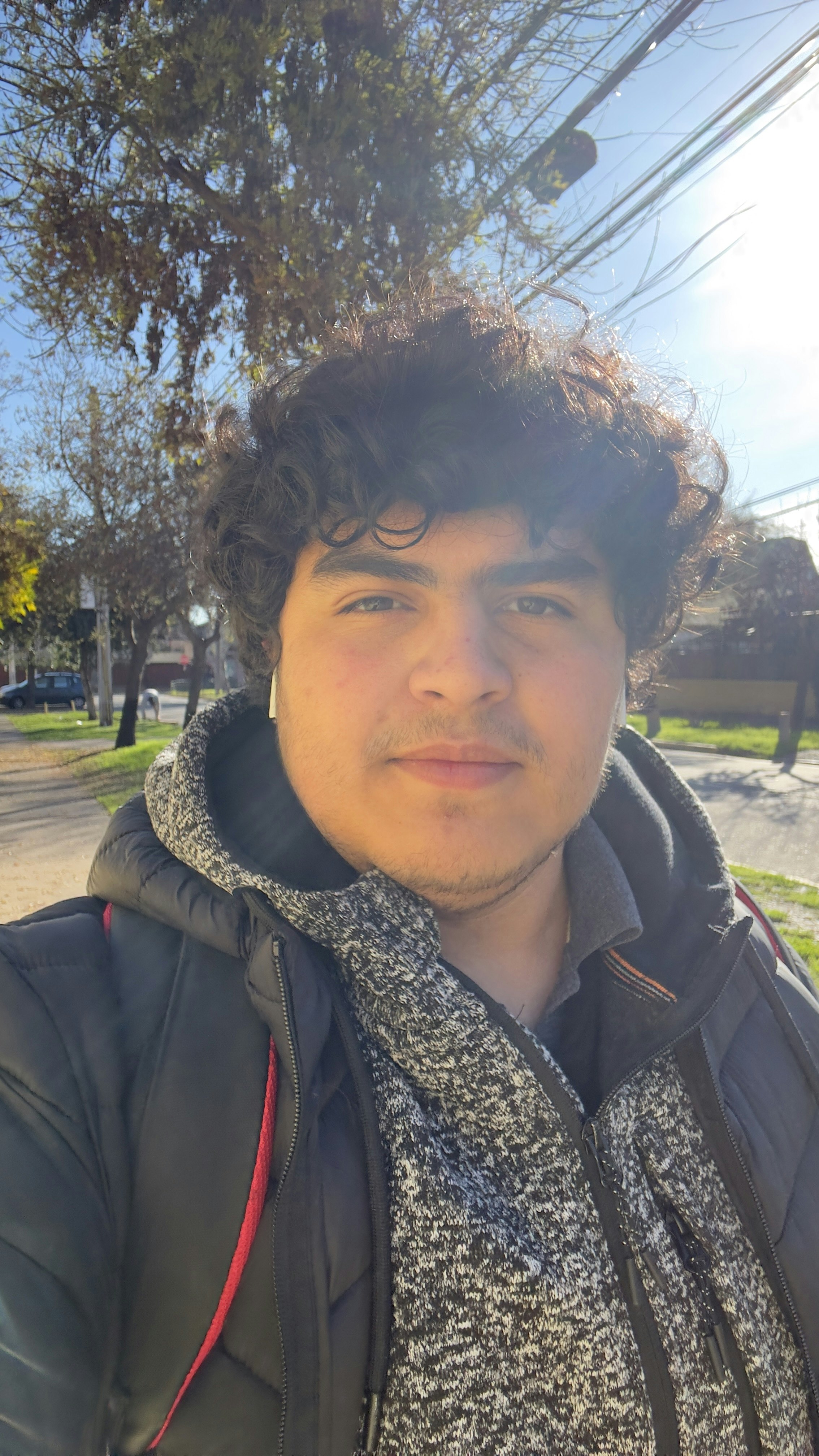 Francisco Solis Maturana