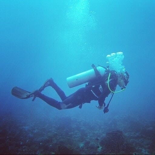 أحمد إسماعيل