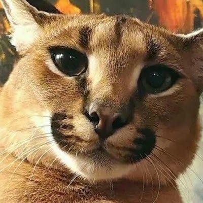 Антон Лесовой