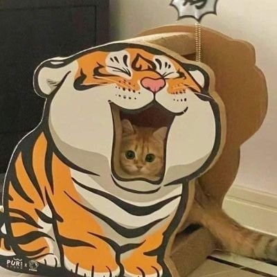 freetag🍭💌 || no nyeret🦹‍♀️🧟‍♀️