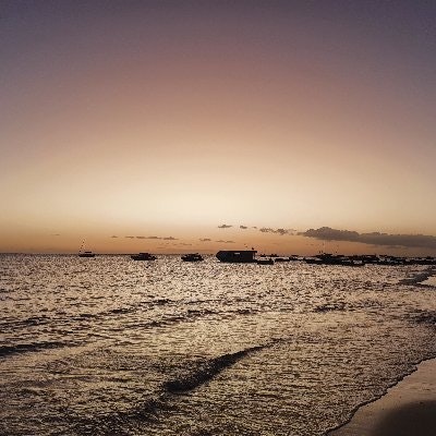 anti-rug enterprise 🛸