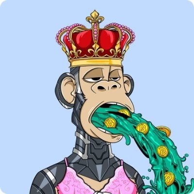 Anamul Sui Bears | anamulnisat.bnb