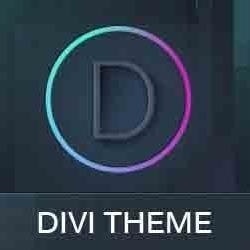 divi theme examples