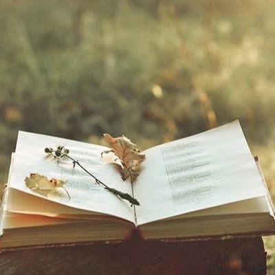 Metehan GÜLER (metehanguler1)