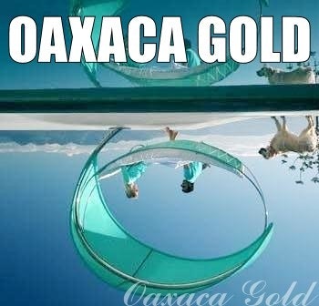 Oaxaca Gold