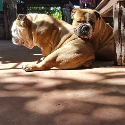 sonya.bnb(sonya.stark )(💙,🧡)(🌸🌿)🤖🛸🌱🌐⚙️🌊📘