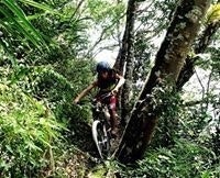 Melquiades Buryal Estrada