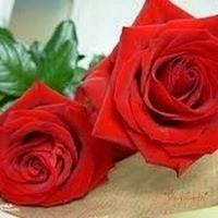 حكايتى حكايه