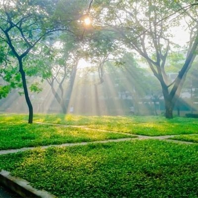 V1L(💙,🧡) (📯,💚) Web3Camp⚙️