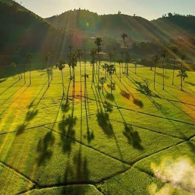 Thìn Nguyễn phúc