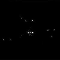 Krzysztof Kolodziejczyk