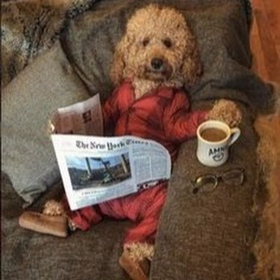 Panagiotis Apokremiotis