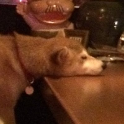 田中邦裕＠さくらインターネット社長🐈‍⬛🐕