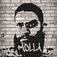 Mostafa Ali Elganainy