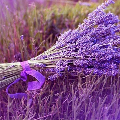 Sümeyye Büşra ŞANLI