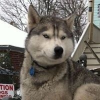 Roberta Marie Guerra