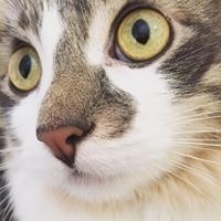 Anna Karpinski Heinze