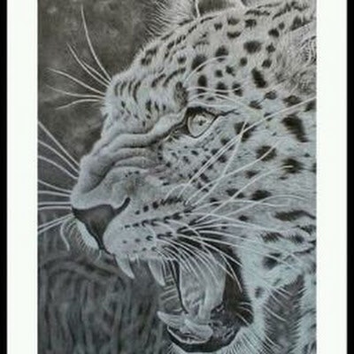 Arafat Abdi official AAO