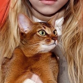 Попай-батыр