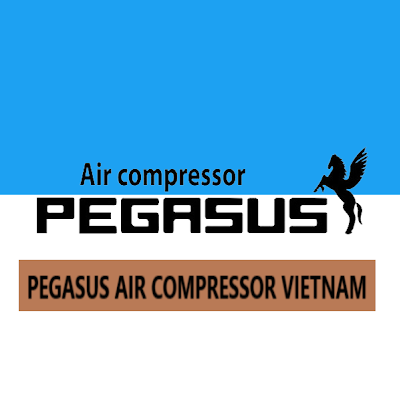 PEGASUS AIR VIỆT NAM