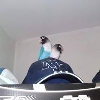 Diego Esteban Molina