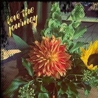 Twinflamee Cathy Briggs