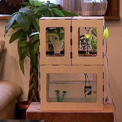 Smart Biotope