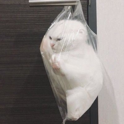 alinn🥀 freetag🍀🍀