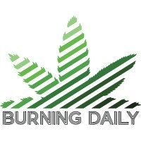 Burning Daily