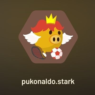 PUKONALDO.eth.bnb.lens(💙,🧡)(🌸, 🌿)🛸🌱🌐🐬🌊📘