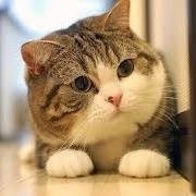 Вячеслав Басов