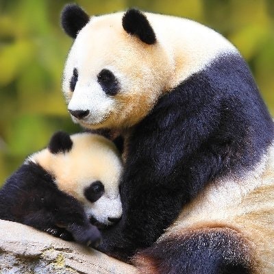 10bnb10.bnb (💙,🧡)