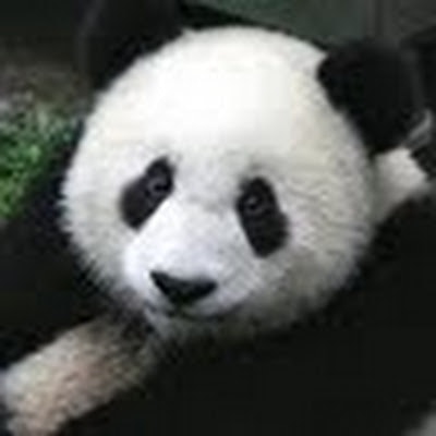 michel “isonielle” luong