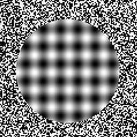 Adriano Roberto de Lima